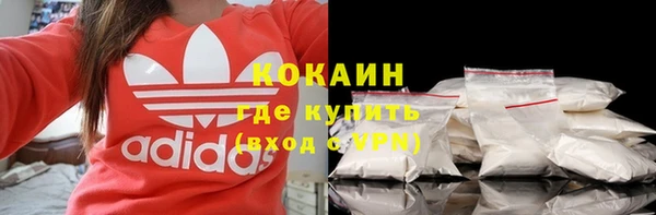 ПСИЛОЦИБИНОВЫЕ ГРИБЫ Абаза