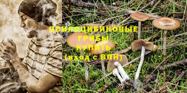 ПСИЛОЦИБИНОВЫЕ ГРИБЫ Абаза