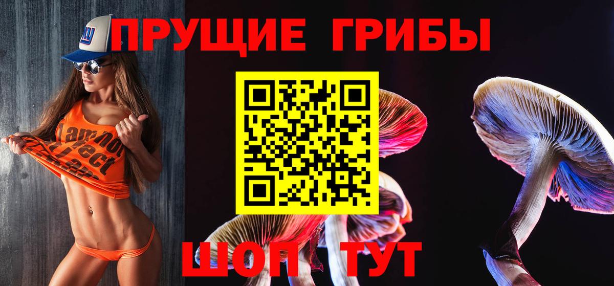 Галлюциногенные грибы Psilocybe  Вход с VPN  Псилоцибиновые грибы Psilocybe  Моздок 